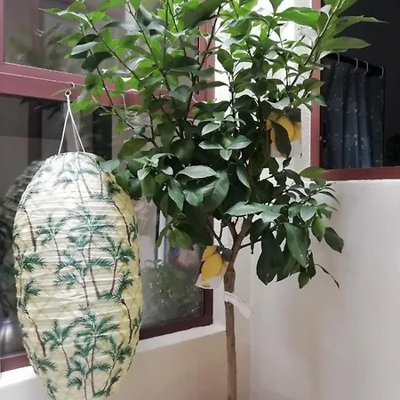 Salento Casa Dell'airone Апартаменты