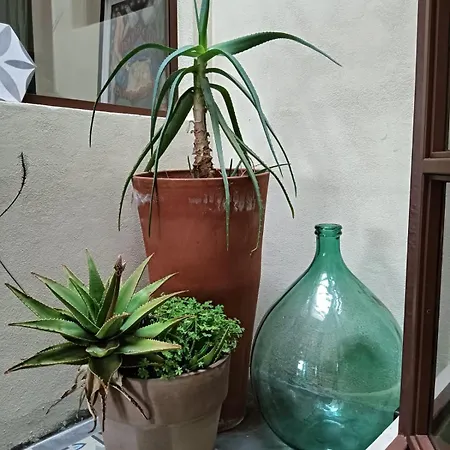 Salento Casa Dell'airone Апартаменты *